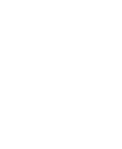 Seta